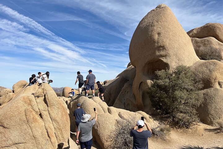 Private Sightseeing Adventure Tour of Joshua Tree National Park
