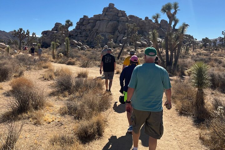 Private Sightseeing Adventure Tour of Joshua Tree National Park