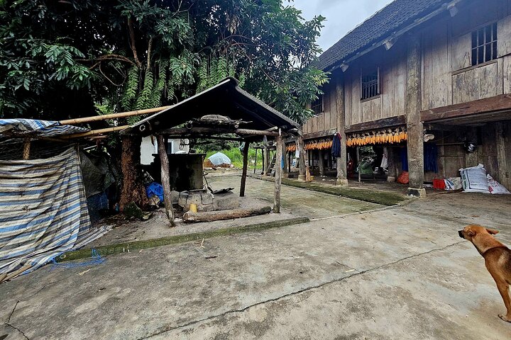 Motorbike Tour: Dien Bien Phu Food & Cultural Night Experience