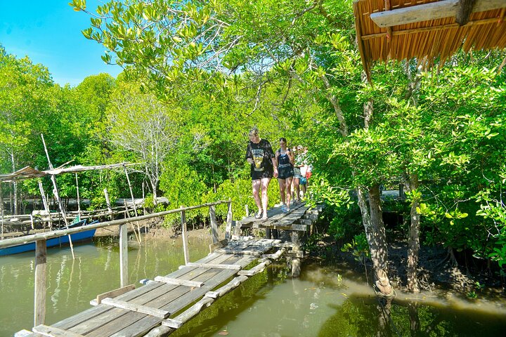 Koh Lanta Mangrove and Monkey Point Longtail Boat Tour