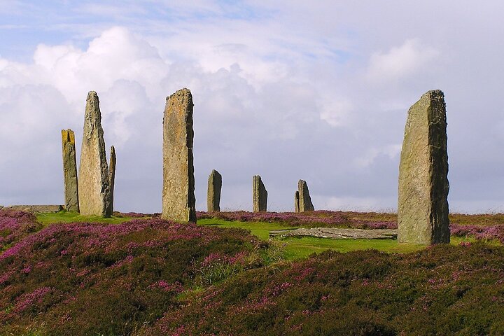 Bespoke Private Guided Tours