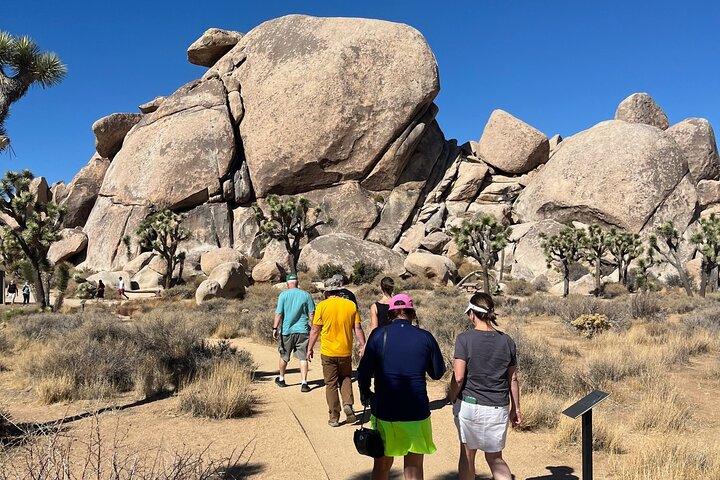 Joshua Tree National Park Sightseeing Adventure Tour