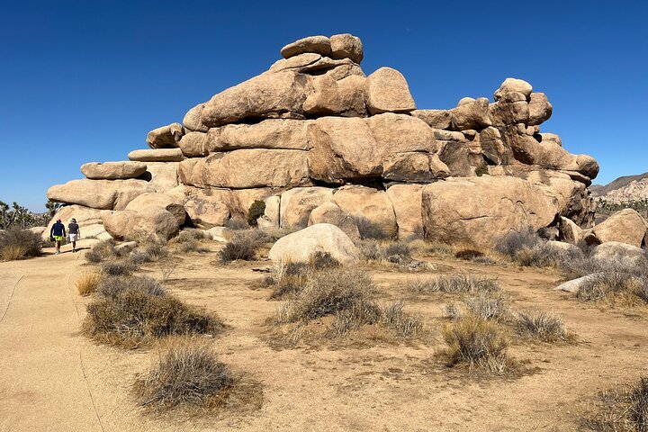 Joshua Tree National Park Sightseeing Adventure Tour