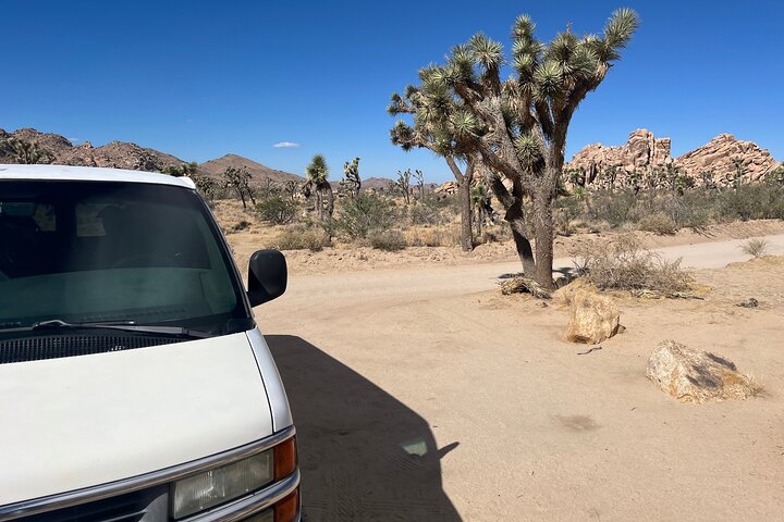 Joshua Tree National Park Sightseeing Adventure Tour