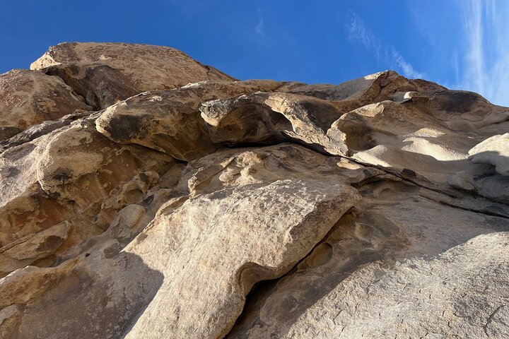 Joshua Tree National Park Sightseeing Adventure Tour