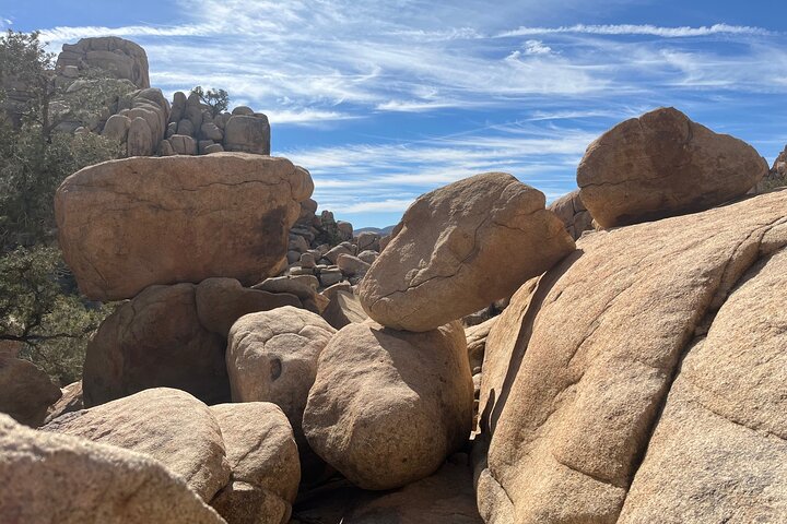 Joshua Tree National Park Sightseeing Adventure Tour