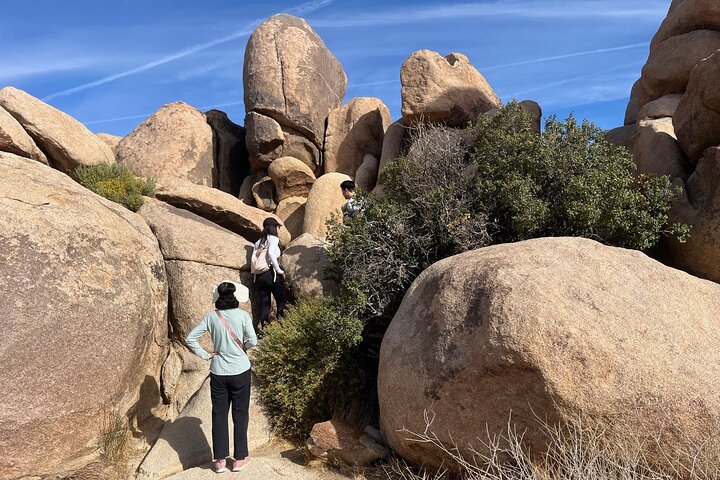 Joshua Tree National Park Sightseeing Adventure Tour