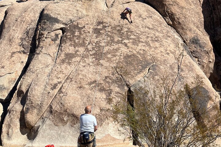 Joshua Tree National Park Sightseeing Adventure Tour