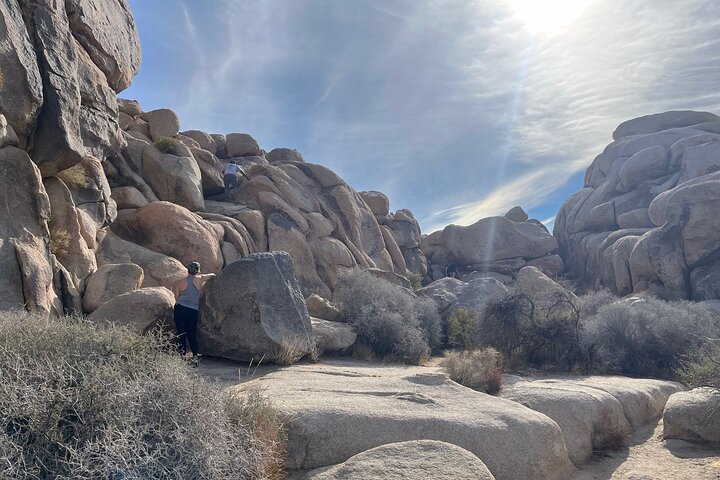 Joshua Tree National Park Sightseeing Adventure Tour