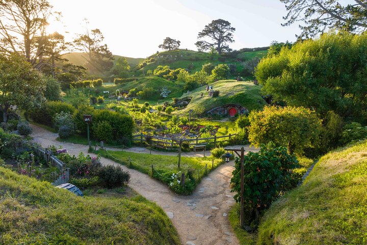 Hobbiton & Waitomo Caves Guided Day Trip from Auckland incl lunch