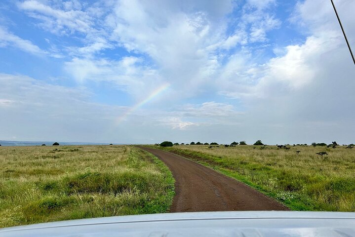 Half Day Giraffe Center,Baby Elephant&Karen Blixxen Guided Tour