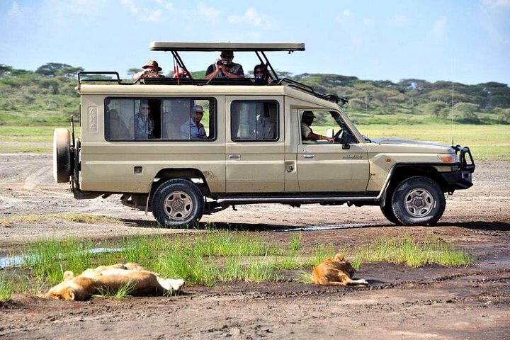 Half Day Giraffe Center,Baby Elephant&Karen Blixxen Guided Tour