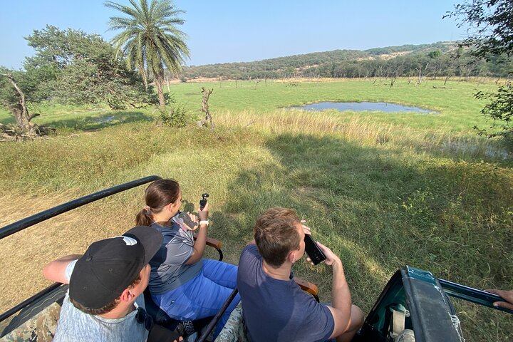 Ranthambore - Sharing Tiger Safari In Canter Or Gypsy Vehicle