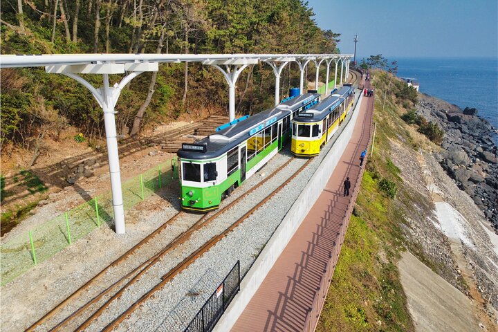 Authentic Busan Full-Day City Highlights Tour