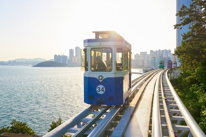 Authentic Busan Full-Day City Highlights Tour