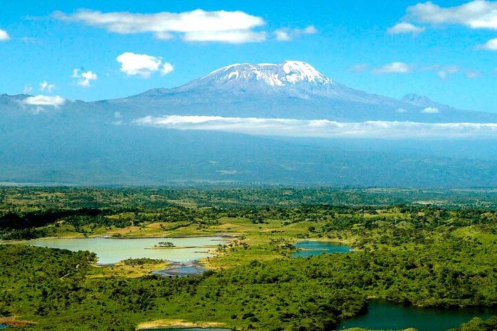 From Arusha: Safari 1 Day Trip to Arusha National Park