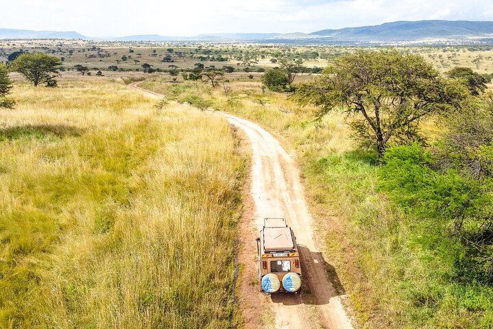 From Arusha: Safari 1 Day Trip to Arusha National Park