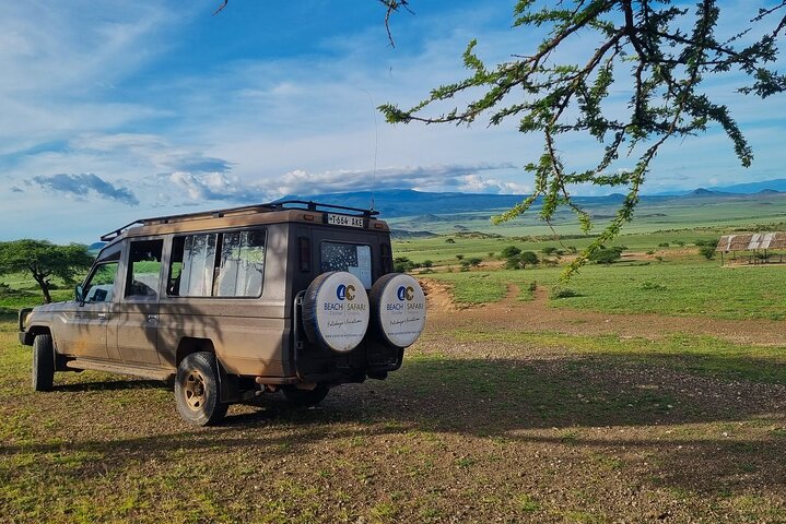 From Arusha: Safari 1 Day Trip to Arusha National Park
