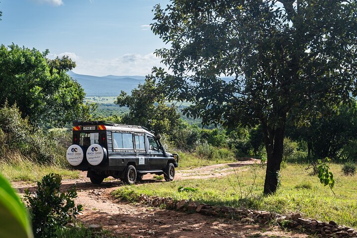 From Arusha: Safari 1 Day Trip to Arusha National Park
