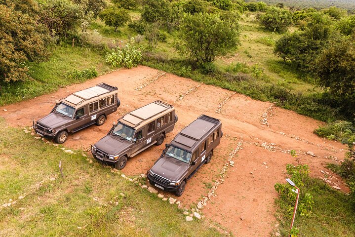 From Arusha: Safari 1 Day Trip to Arusha National Park