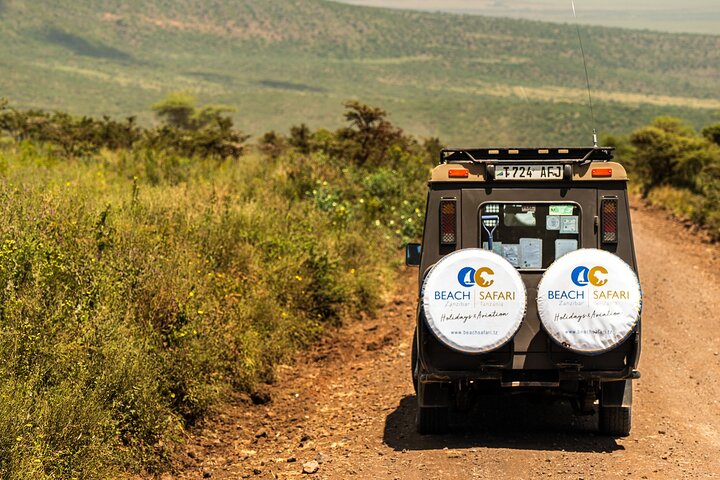 From Arusha: Safari 1 Day Trip to Arusha National Park