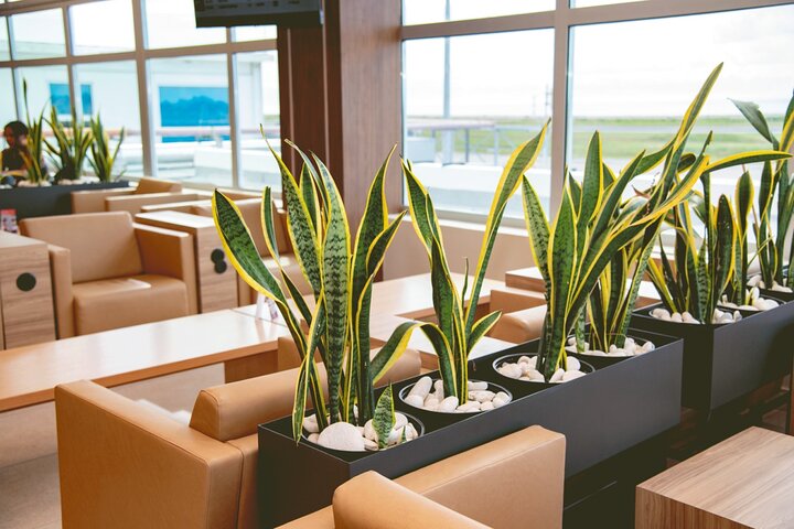 Club Mobay Sangster Airport VIP Lounge with Priority Entry