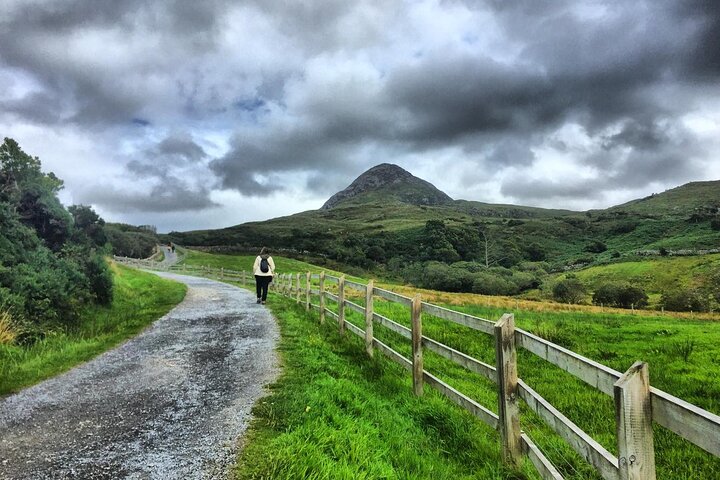 From Galway: Guided tour of Connemara with 3 hour stop at Connemara National Pk.