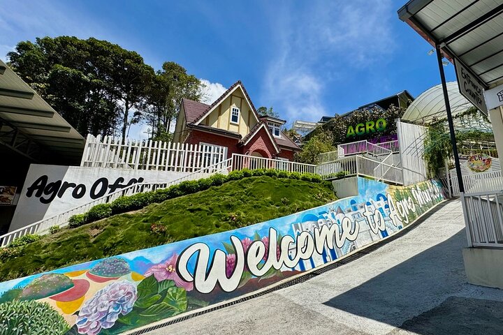 Cameron Highlands with Lunch Guided Day Tour (SIC/Shared Tour)
