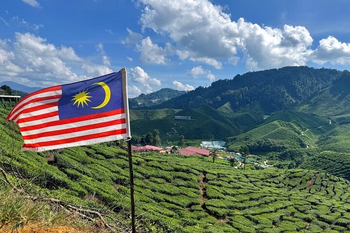 Cameron Highlands with Lunch Guided Day Tour (SIC/Shared Tour)
