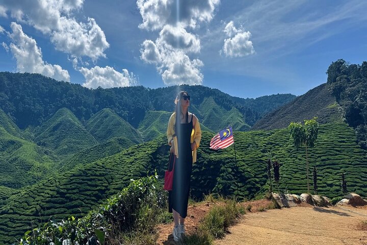 Cameron Highlands with Lunch Guided Day Tour (SIC/Shared Tour)