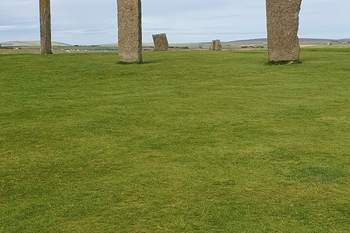 Bespoke Private Guided Tours
