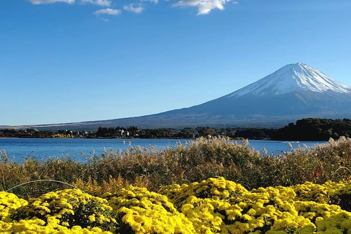 Mount Fuji Full-Day Private Tour from Yokohama Customizable