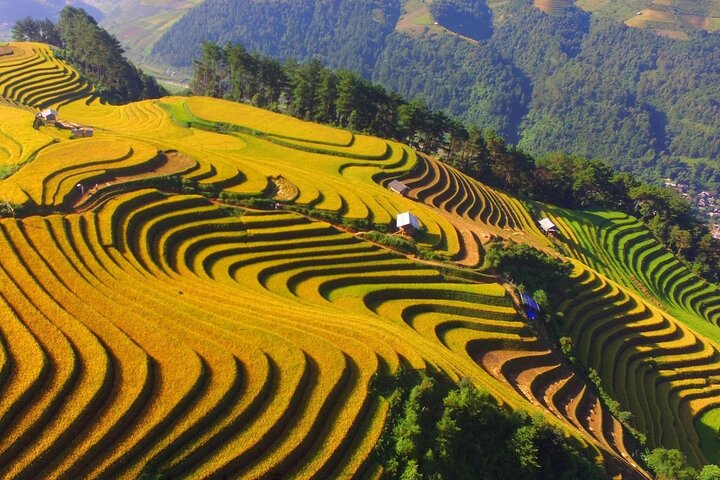 Dien Bien Phu Battlefield Exploration Tour