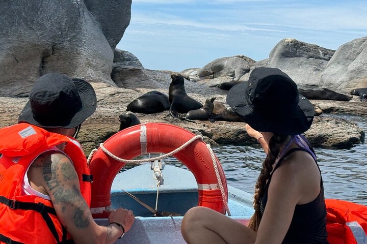 Island Tour with Snorkeling and Picnic