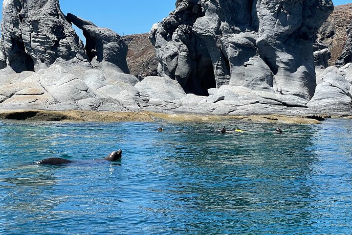 Island Tour with Snorkeling and Picnic