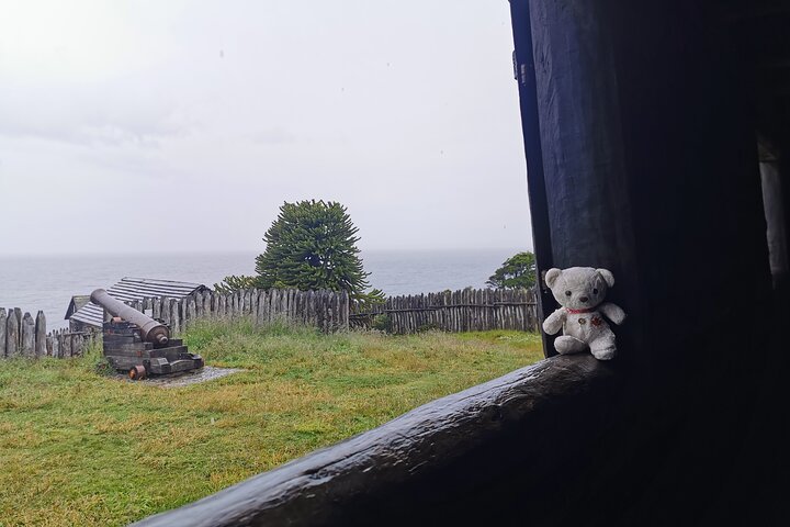 Guided Tour of Punta Arenas and Fort Bulnes