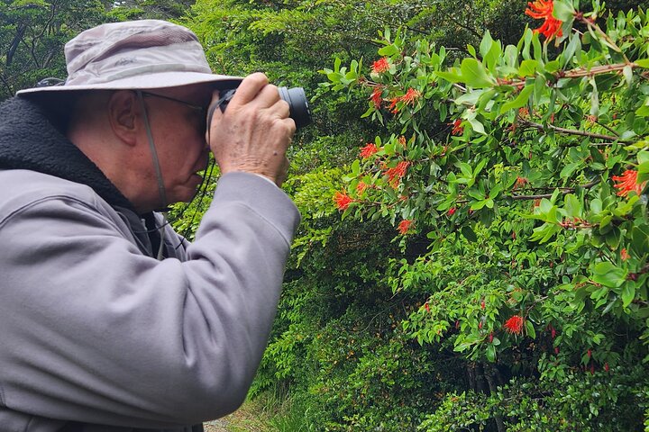 Guided Tour of Punta Arenas and Fort Bulnes