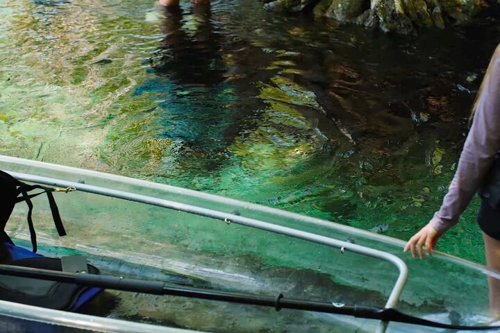 2 Hour Glass Bottom Guided Kayak Eco Tour in Gilchrist Blue