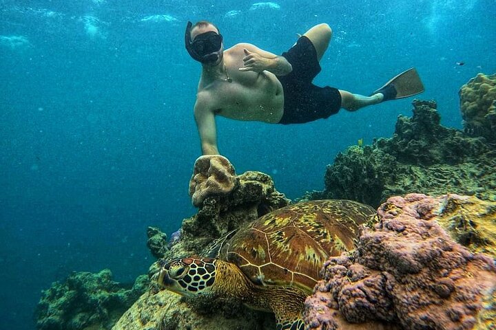 Eco Friendly Sea Scooter Turtle Tour in Rarotonga