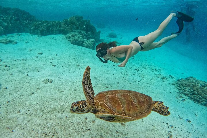 Eco Friendly Sea Scooter Turtle Tour in Rarotonga