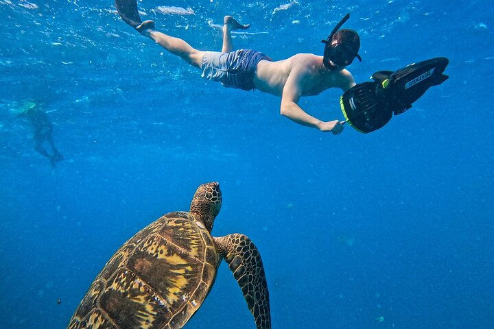 Eco Friendly Sea Scooter Turtle Tour in Rarotonga