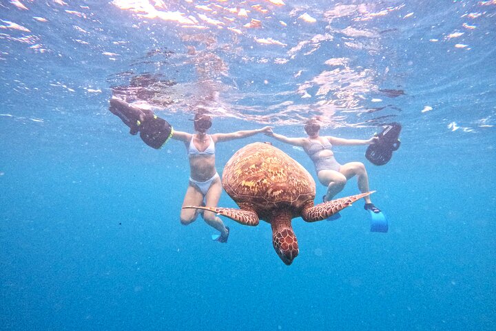 Eco Friendly Sea Scooter Turtle Tour in Rarotonga