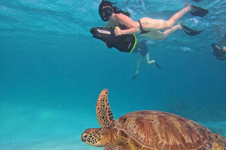 Eco Friendly Sea Scooter Turtle Tour in Rarotonga