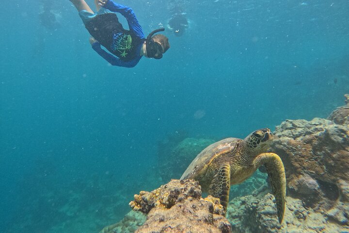 Eco Friendly Sea Scooter Turtle Tour in Rarotonga
