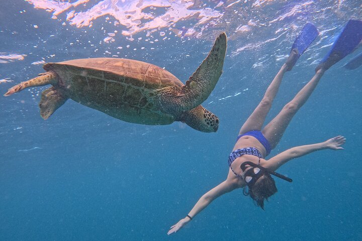 Eco Friendly Sea Scooter Turtle Tour in Rarotonga
