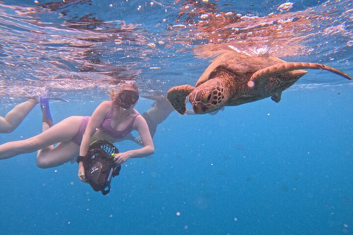 Eco Friendly Sea Scooter Turtle Tour in Rarotonga