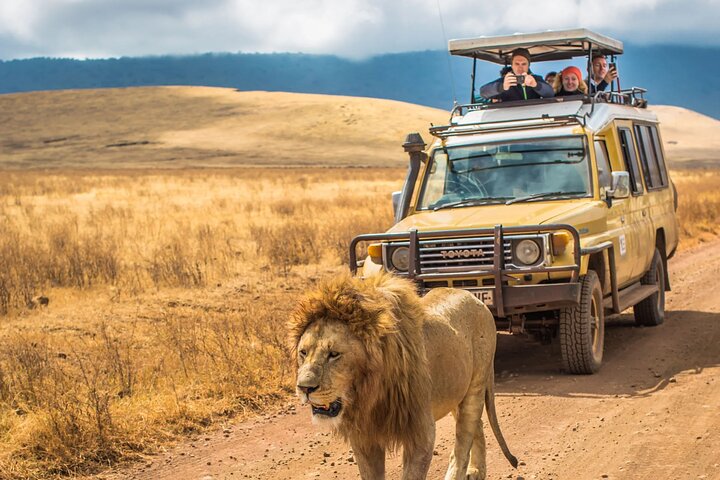 Hluhluwe Imfolozi Big 5 Game Reserve Tour from Durban