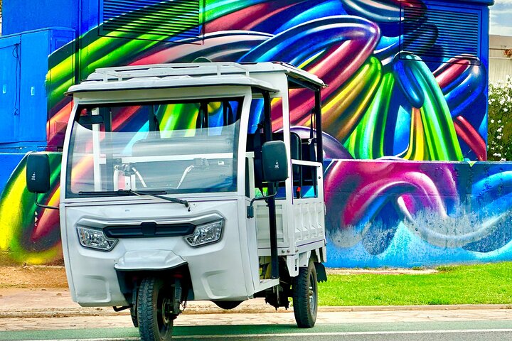 Valencia: Tuk tuk tour
