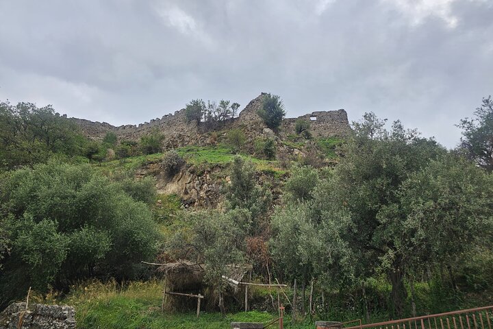 Research Your Ancestors in Sicily from Cruise Terminal of Messina
