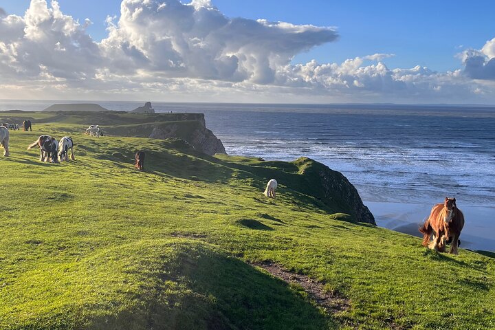 Cardiff: Gower Peninsula's Cliffs & Mumbles Scenic Day Tour